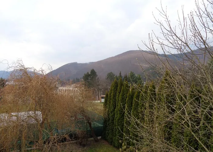 Dali 3* Rajecké Teplice